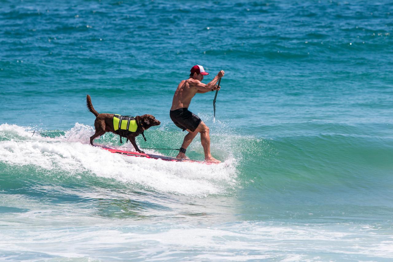 Atleta de stand up paddle na onda